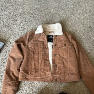 Brand new Hollister Jacket